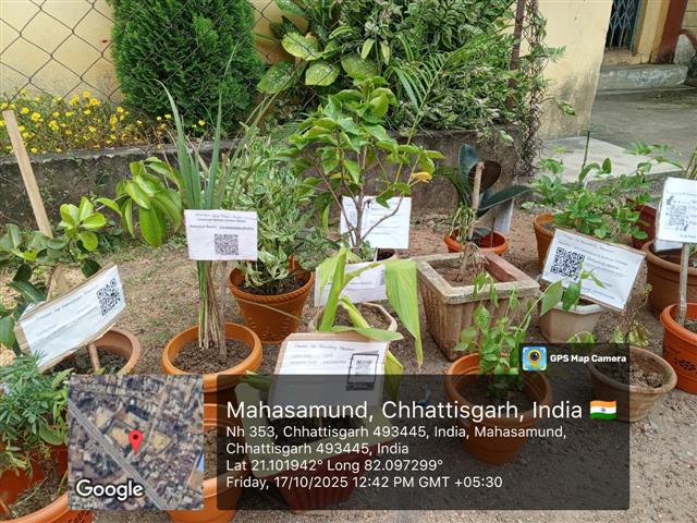 Botanical Plant 2025-26 